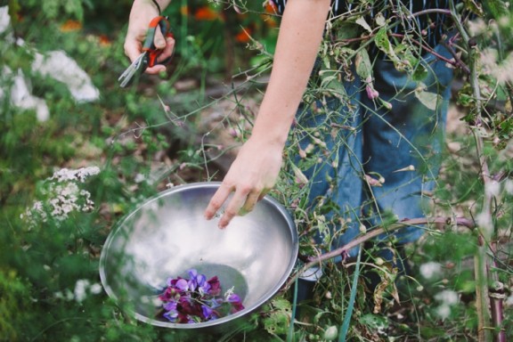 Harvest Café wedding in Byron Bay | Photography by Lara Hotz