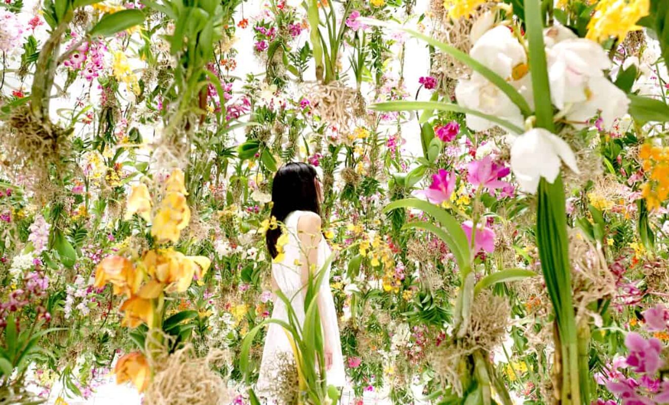 floral installations archives - nouba.au