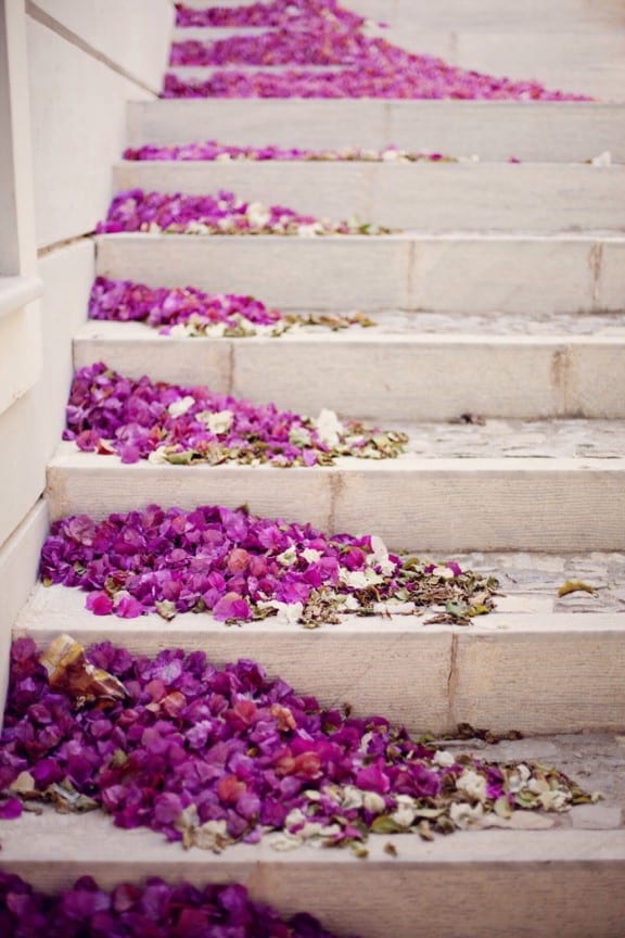 bougainvillea on the stairs