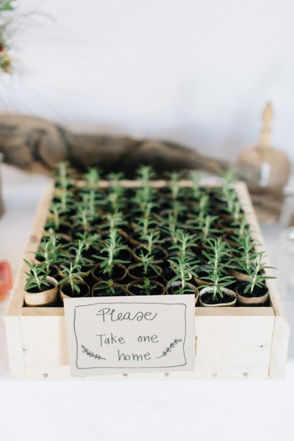 DIY plant wedding favours | Photography by Jazzy Connors