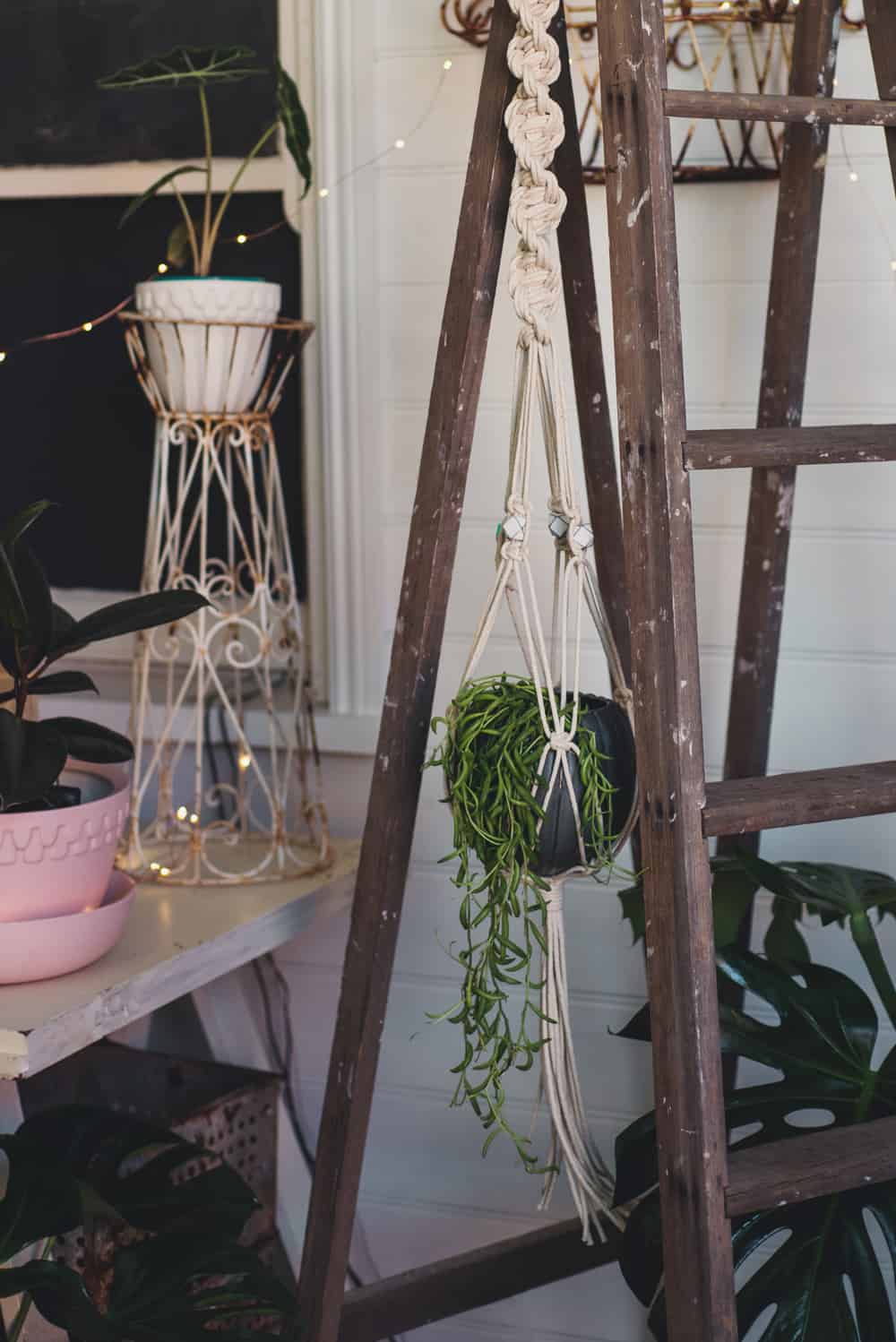 Macrame Ring Plant Hanger - who made it