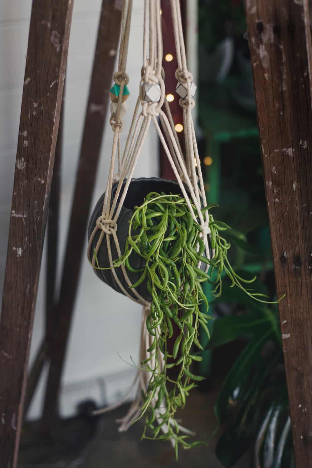 DIY Macramé pot plant hanger