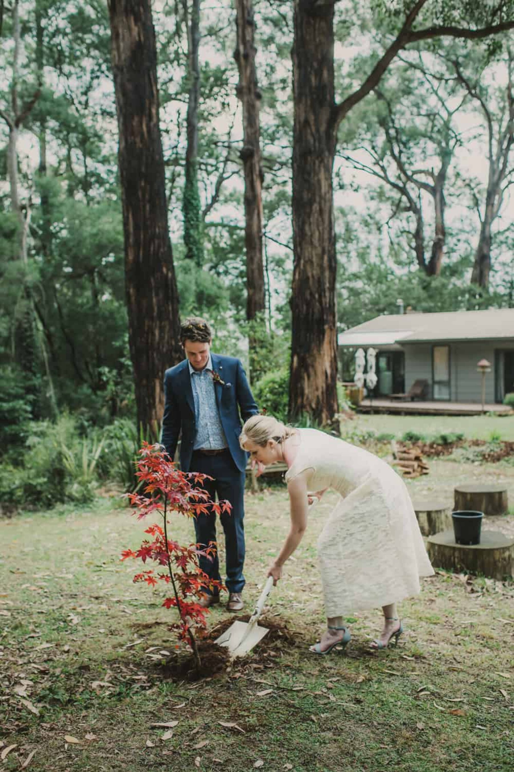 wedding tree planting