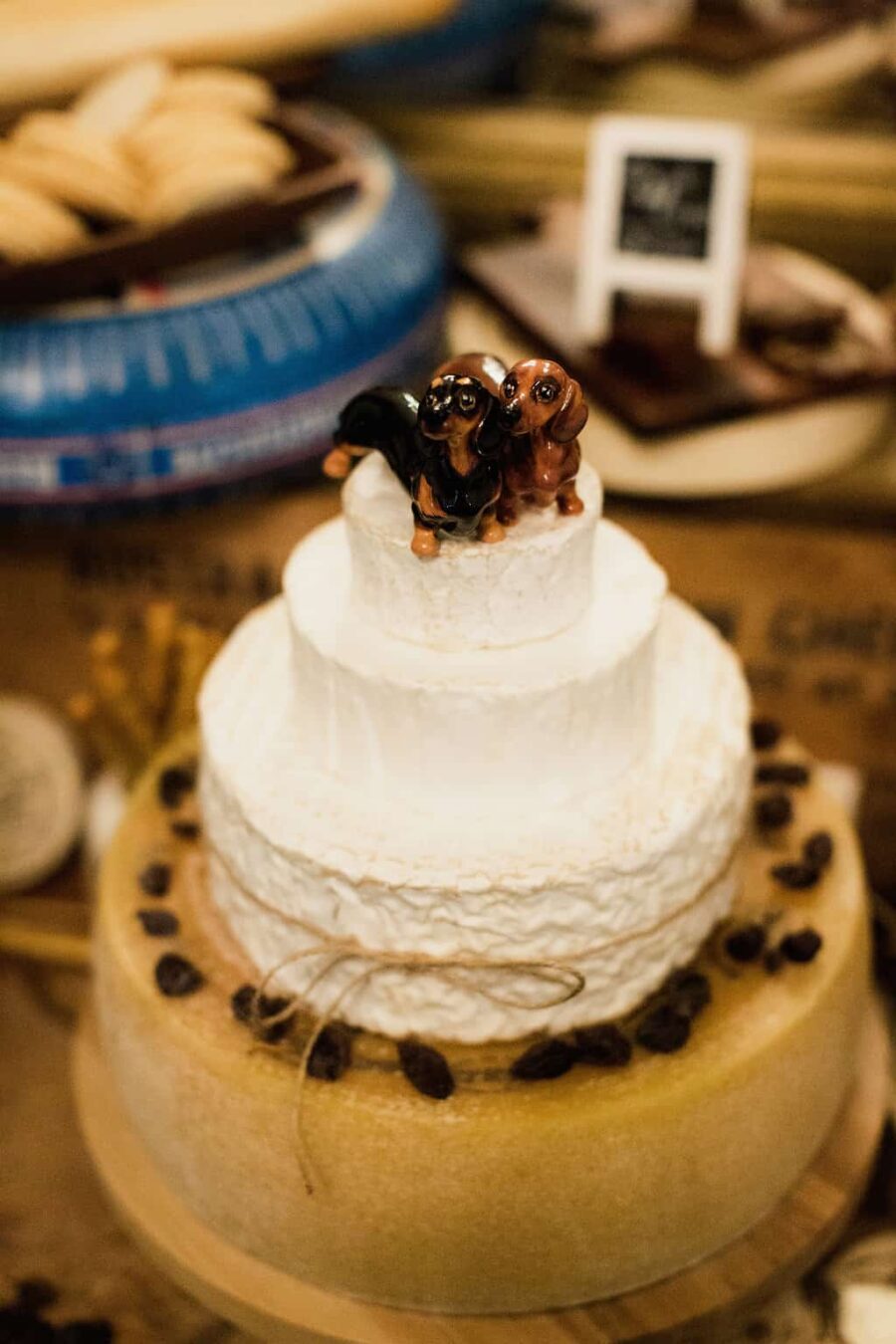 cheese wheel wedding cake-05