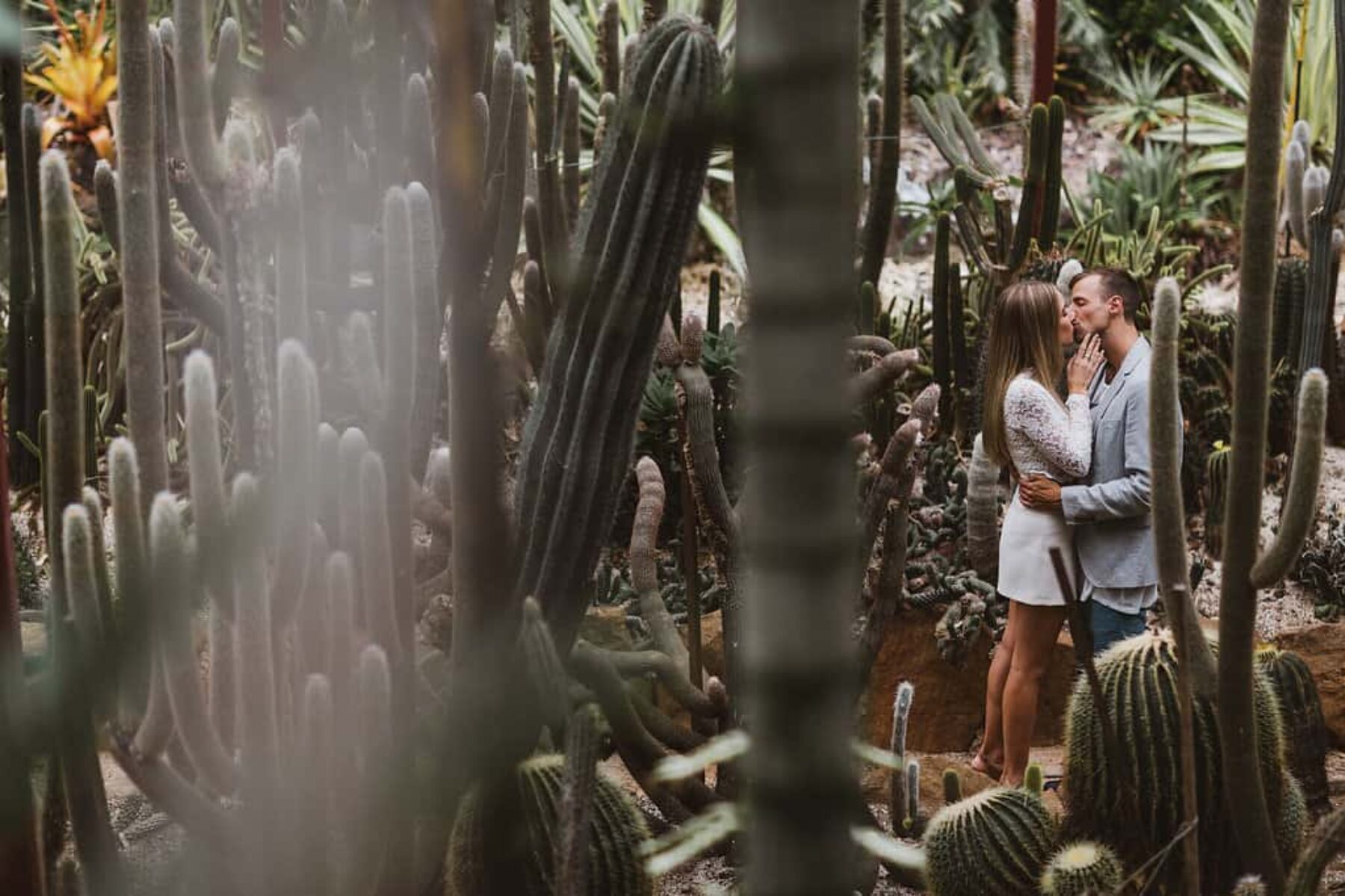 Cactus farm engagement shoot / photography by Janneke Storm