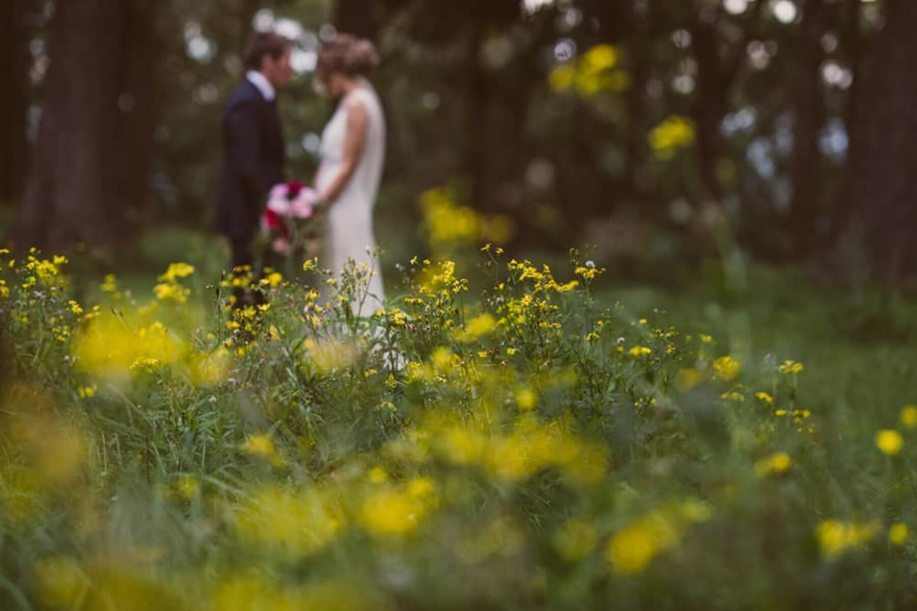 Spicers Peak Lodge Wedding / Photography by Todd Hunter McGaw