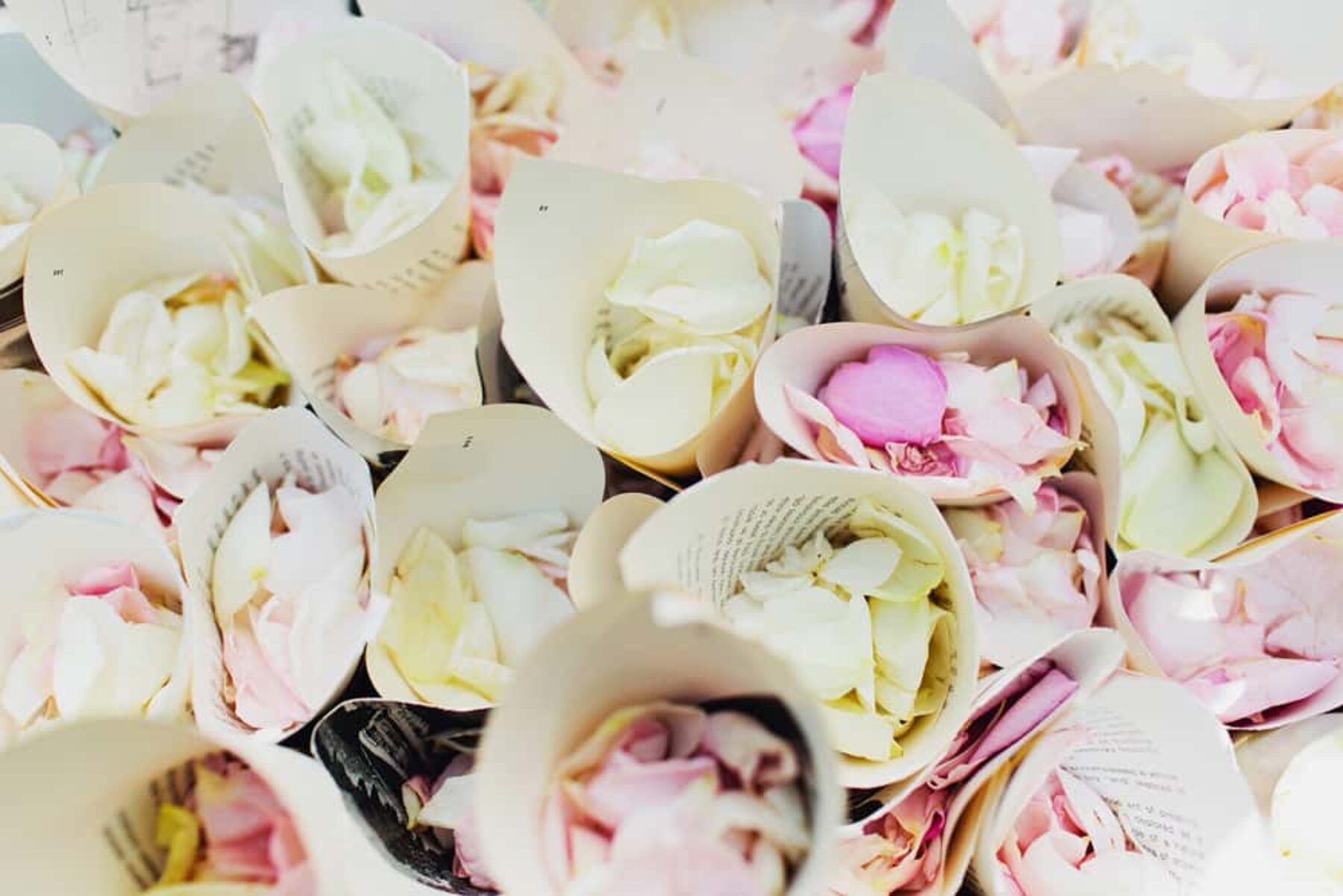 rose petal confetti cones