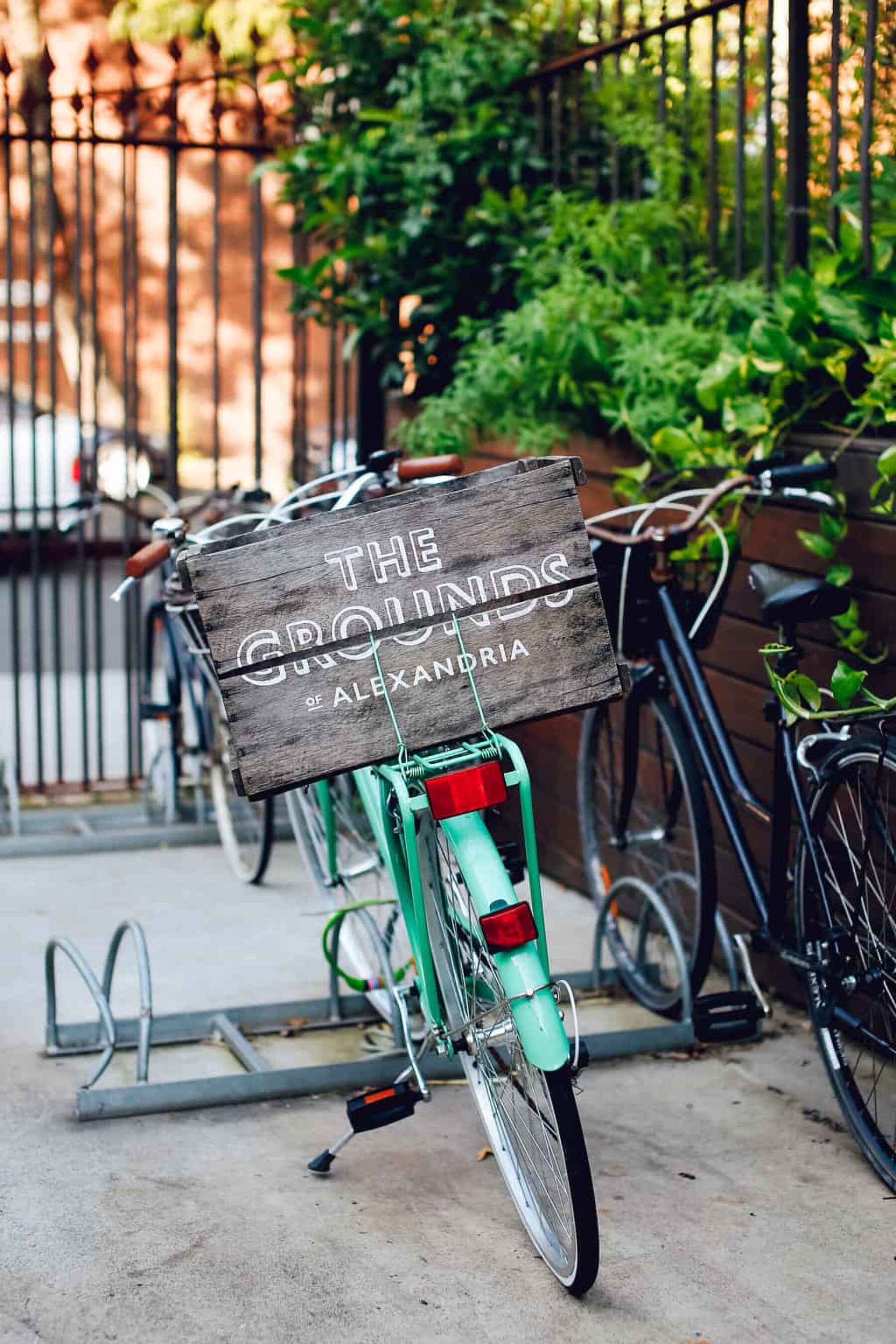 vintage mint bike