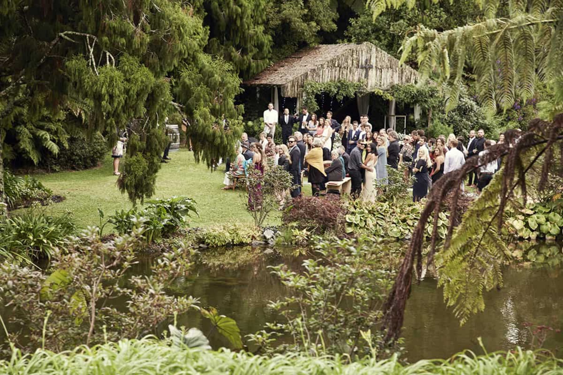 modern New Zealand wedding