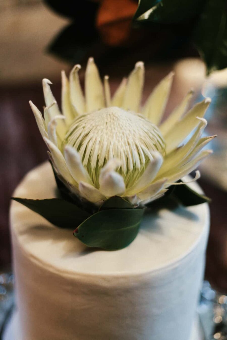 simple wedding cake with king protea topper