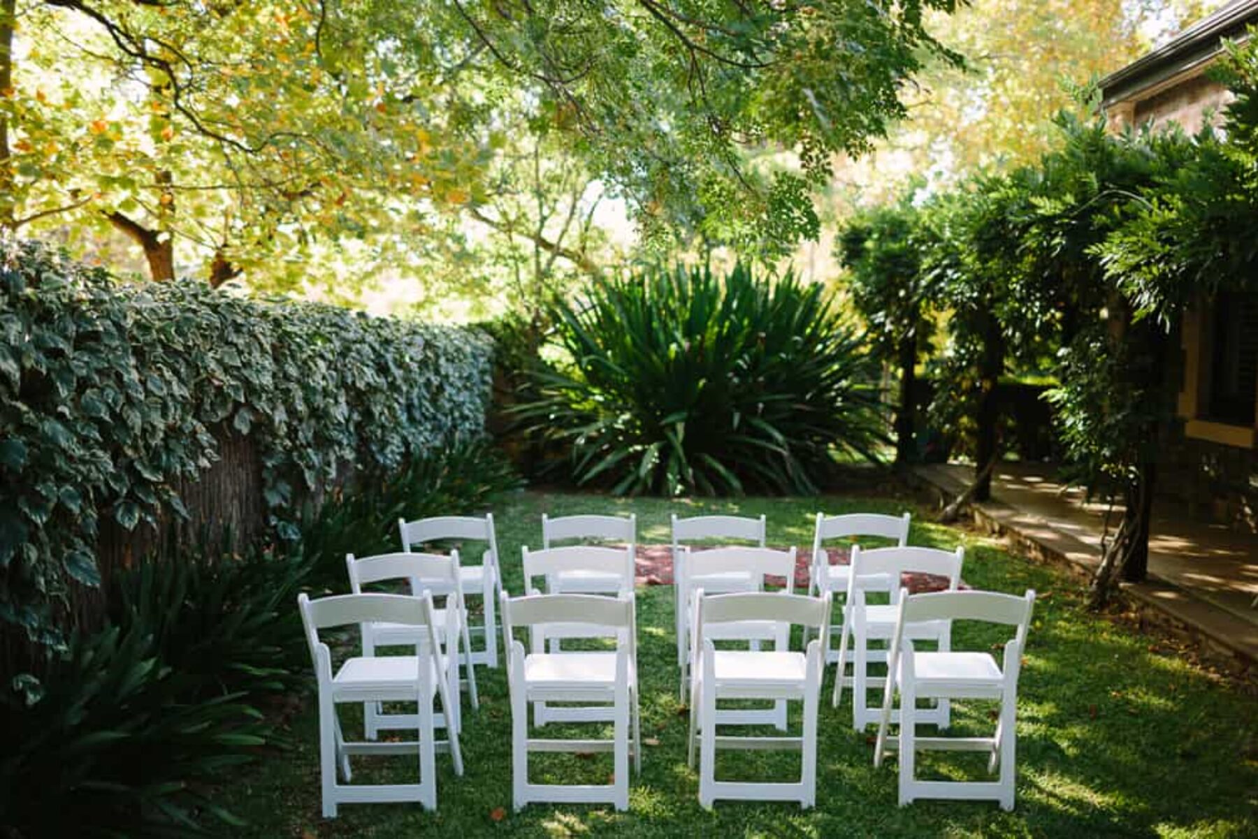 relaxed backyard wedding by Adeliade photographer Dave Pascoe