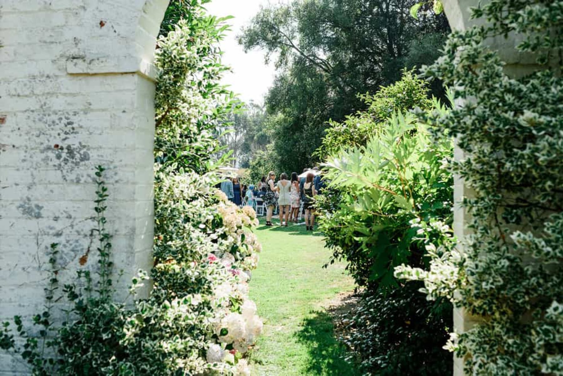 Brickendon Estate wedding Launceston - Harvard Wang photography