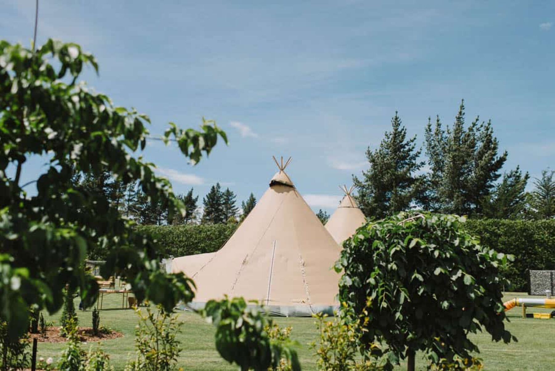 Boho tipi wedding on an olive farm in Christchurch NZ - photography by Paul Tatterson