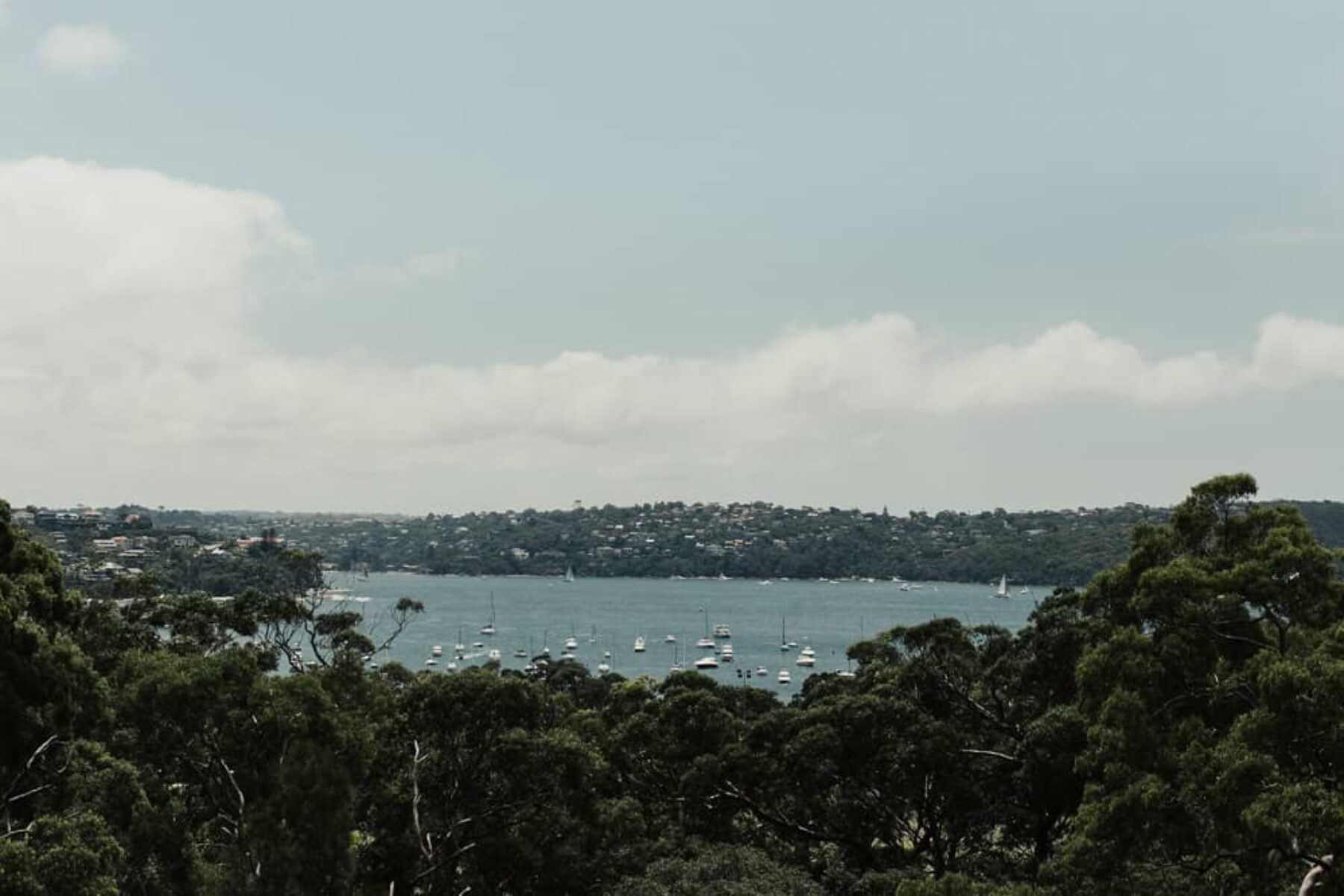 modern Balmoral wedding by Sydney photographer Matt Godkin