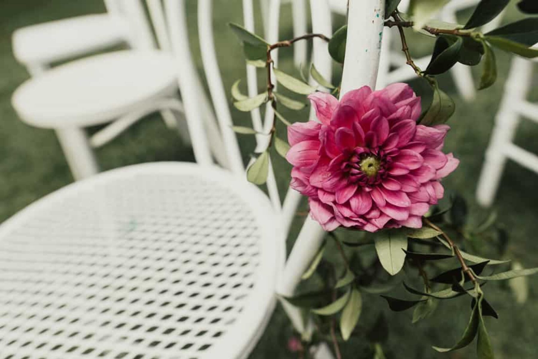 modern Balmoral wedding by Sydney photographer Matt Godkin