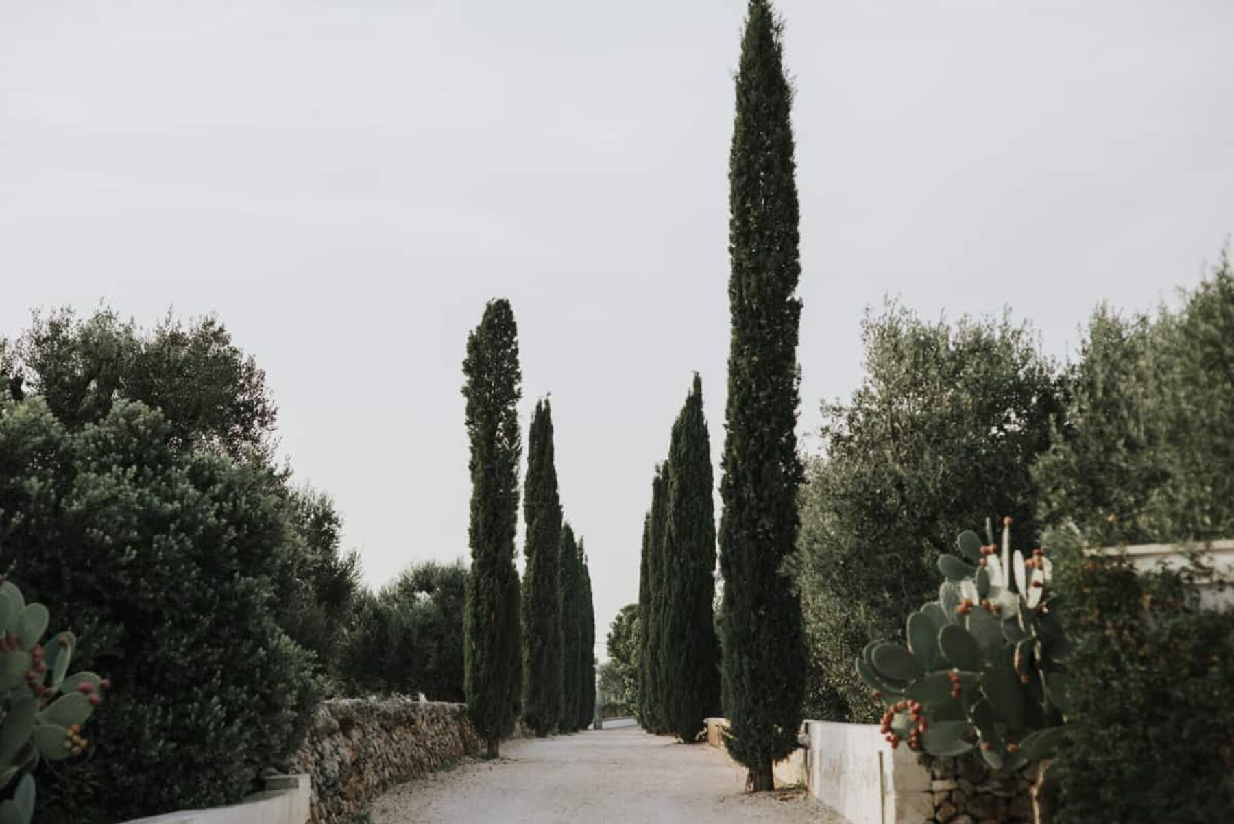 Destination wedding in Puglia Italy - photography by Damien Milan