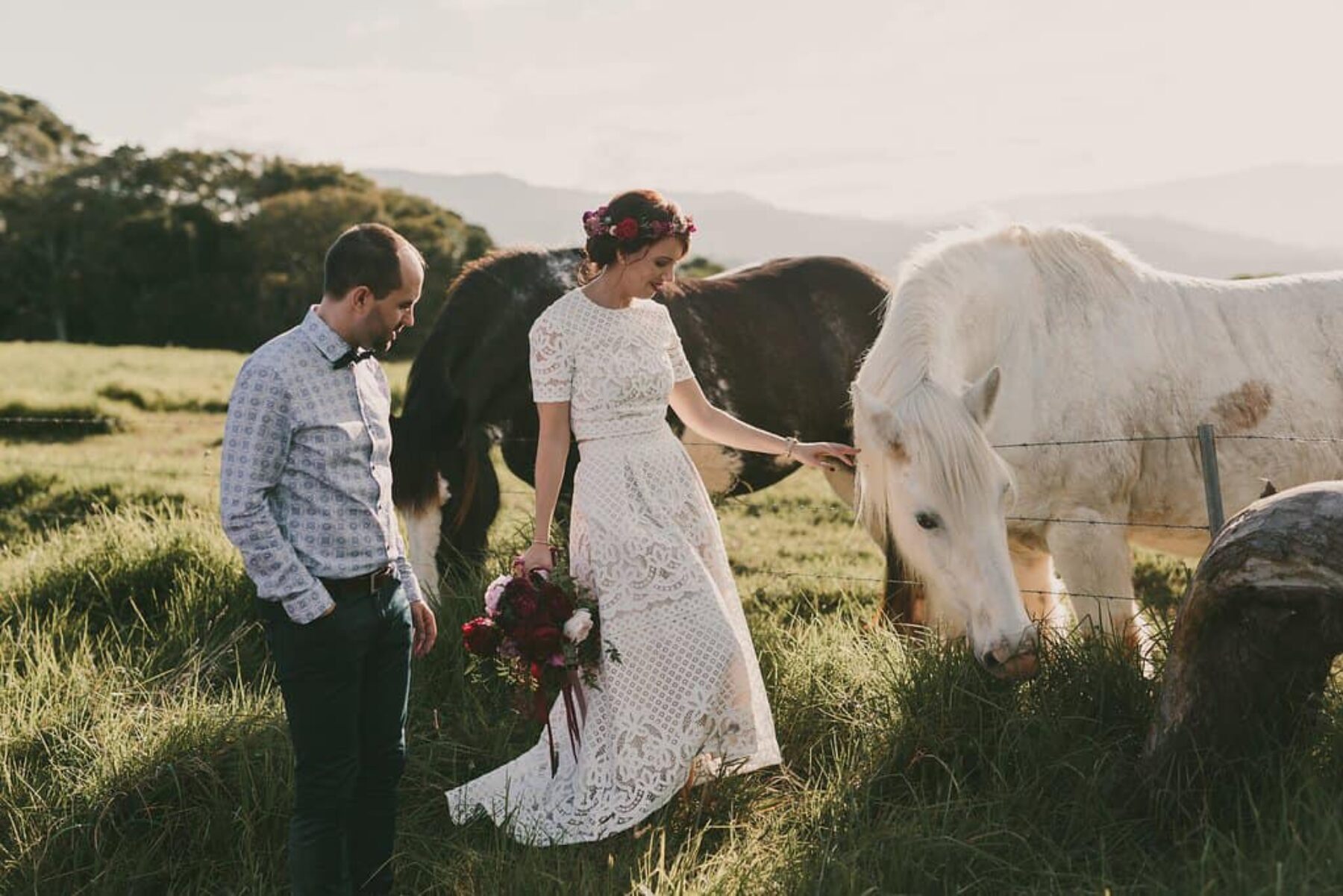bride patting white horse