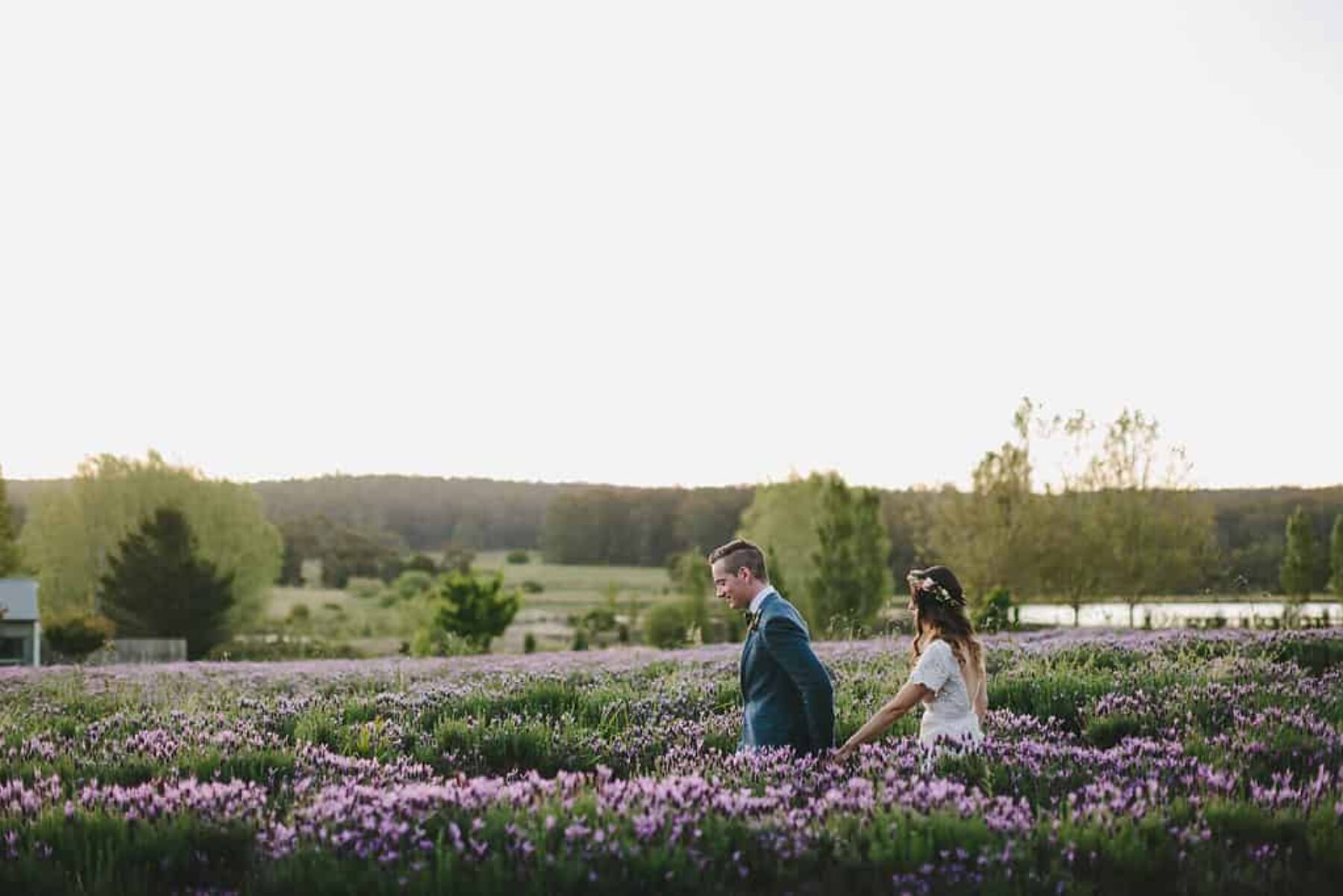 bride and groom in lavender field at Sault Daylesford