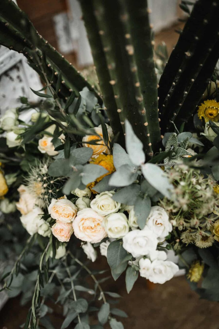 rustic indie barn wedding at Logwoods Homestead Sunshine Coast