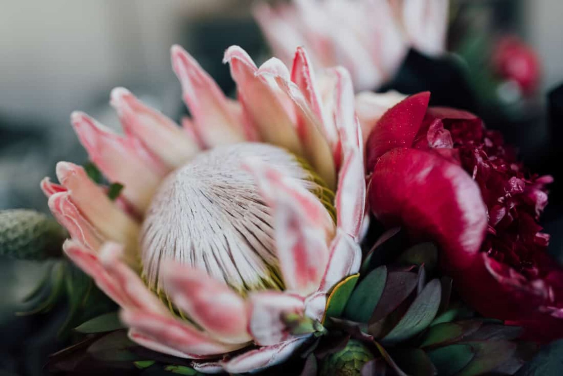 king protea bouquet