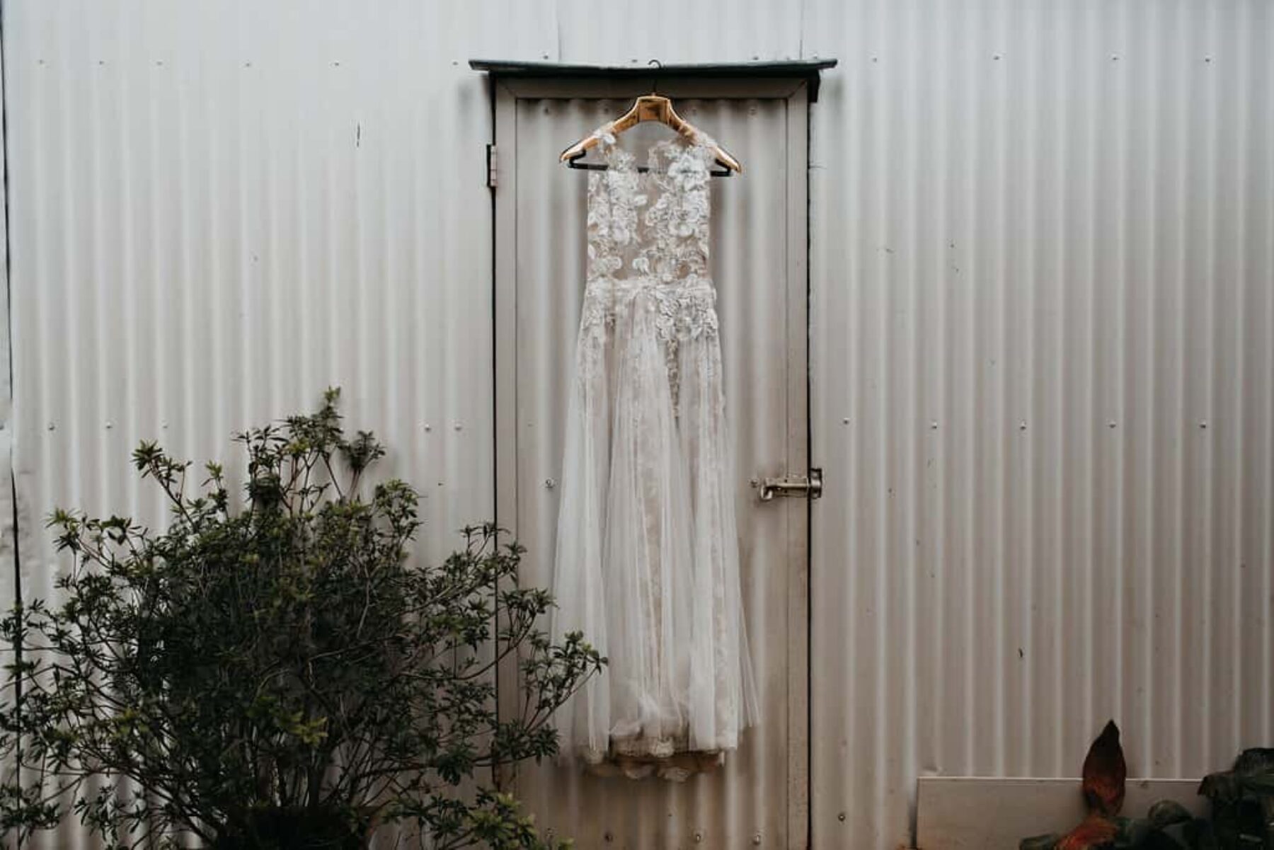 floral lace mesh wedding dress by Pronovias