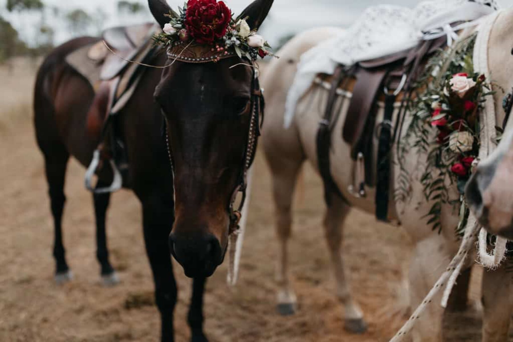 wedding horses with floral wreaths