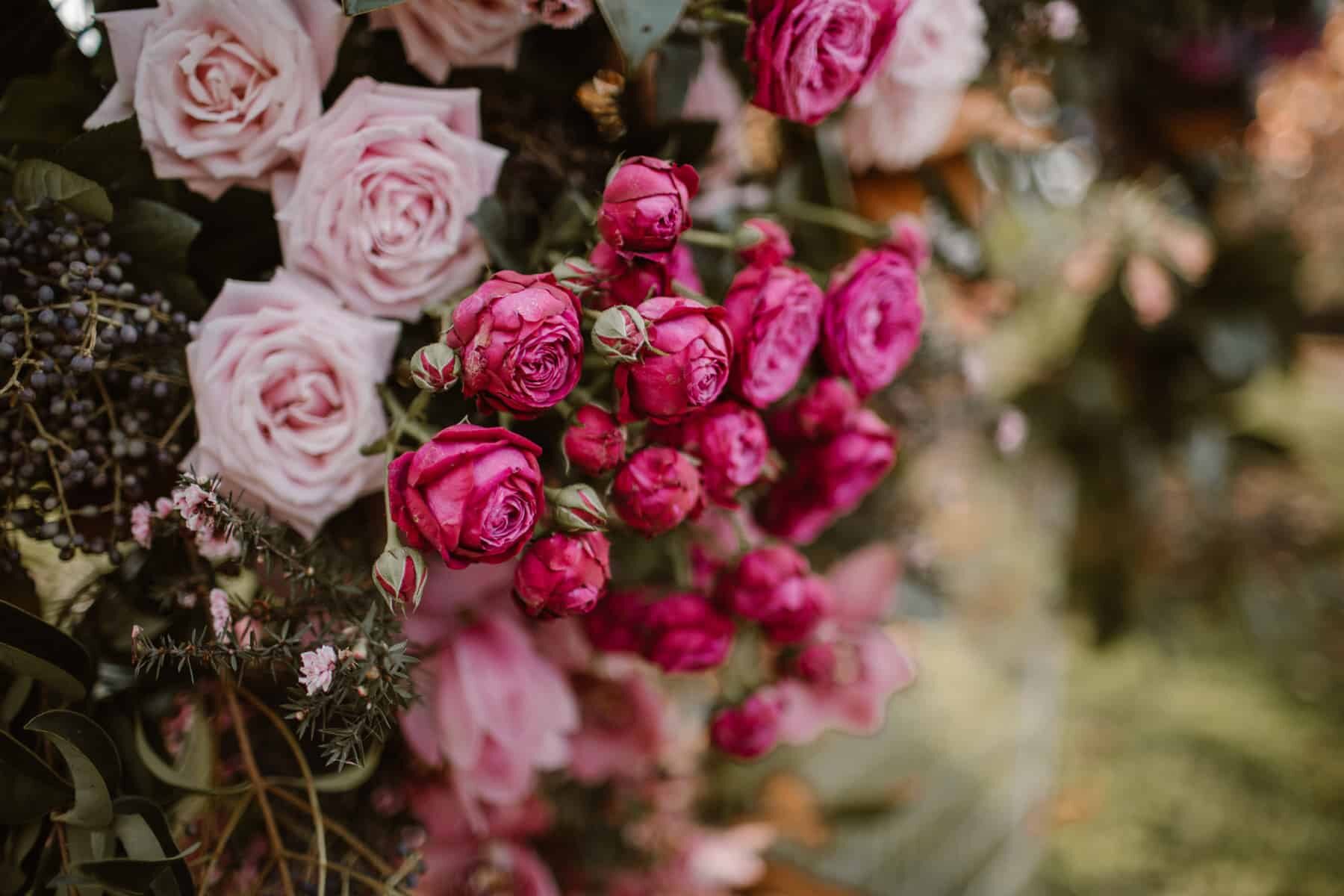 mixed pink roses