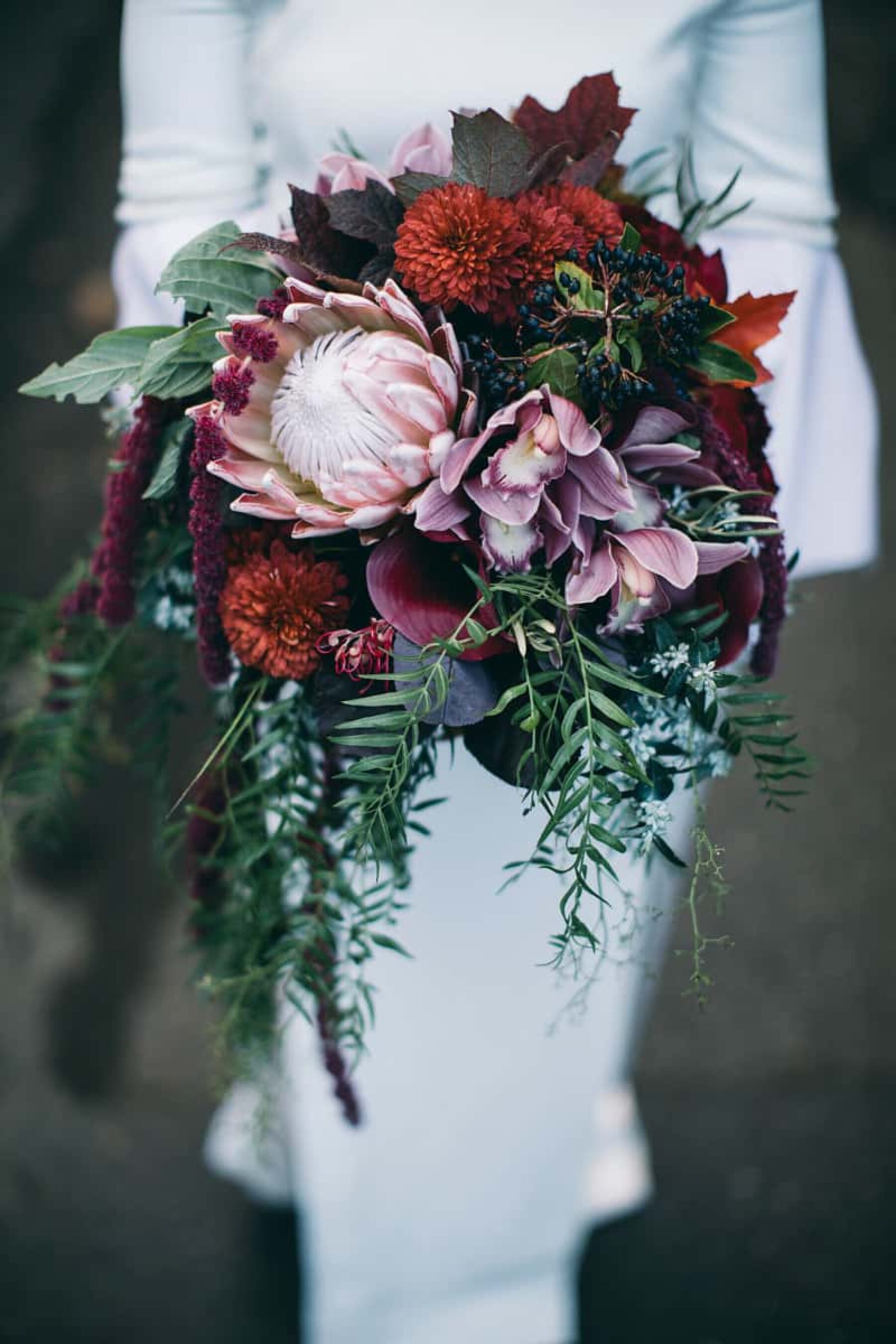 berry-toned bouquet with king protea and orchids