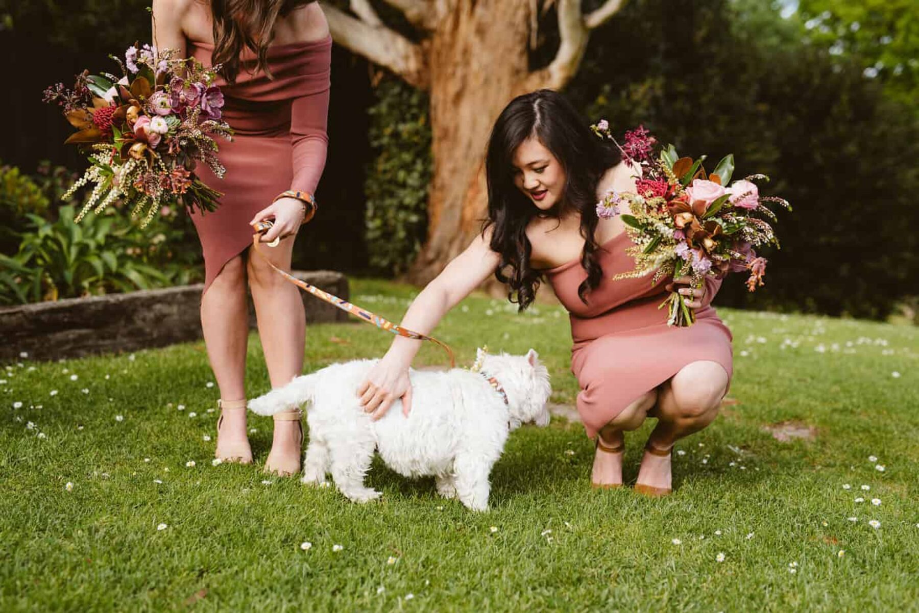 westie dog bridesmaid