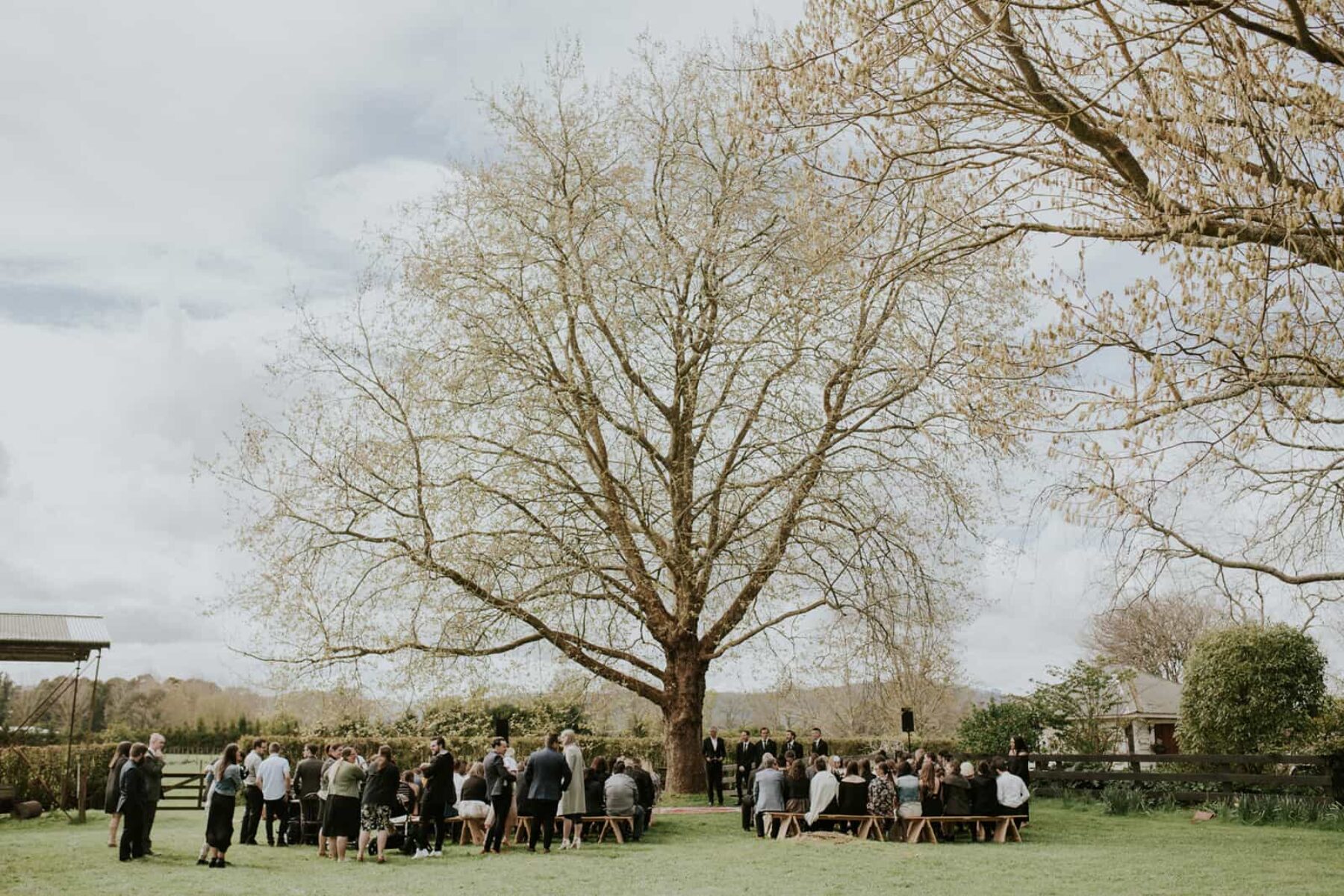 DIY Country wedding in Cambridge NZ - Amy Kate Photography