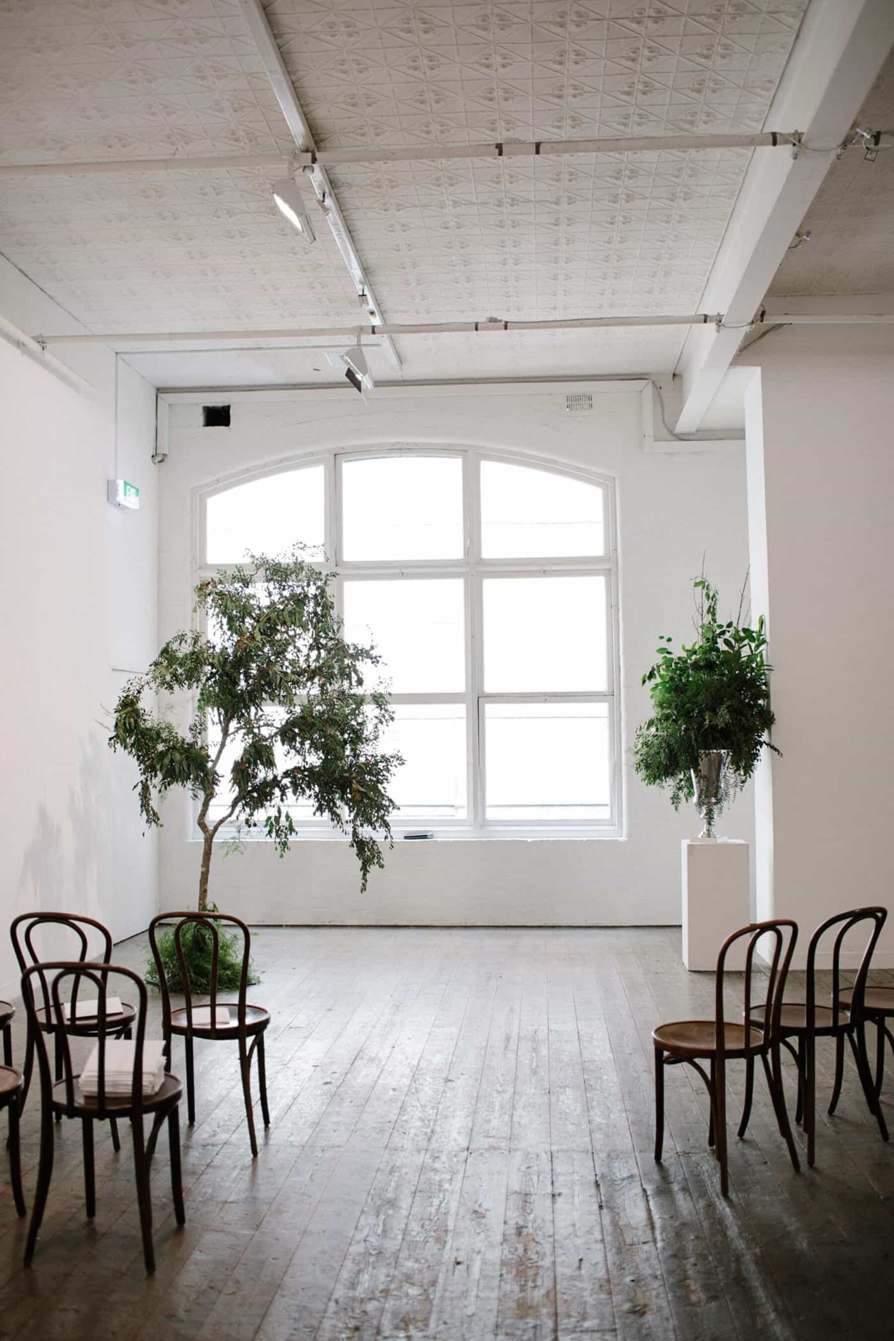 minimal gallery wedding with indoor trees