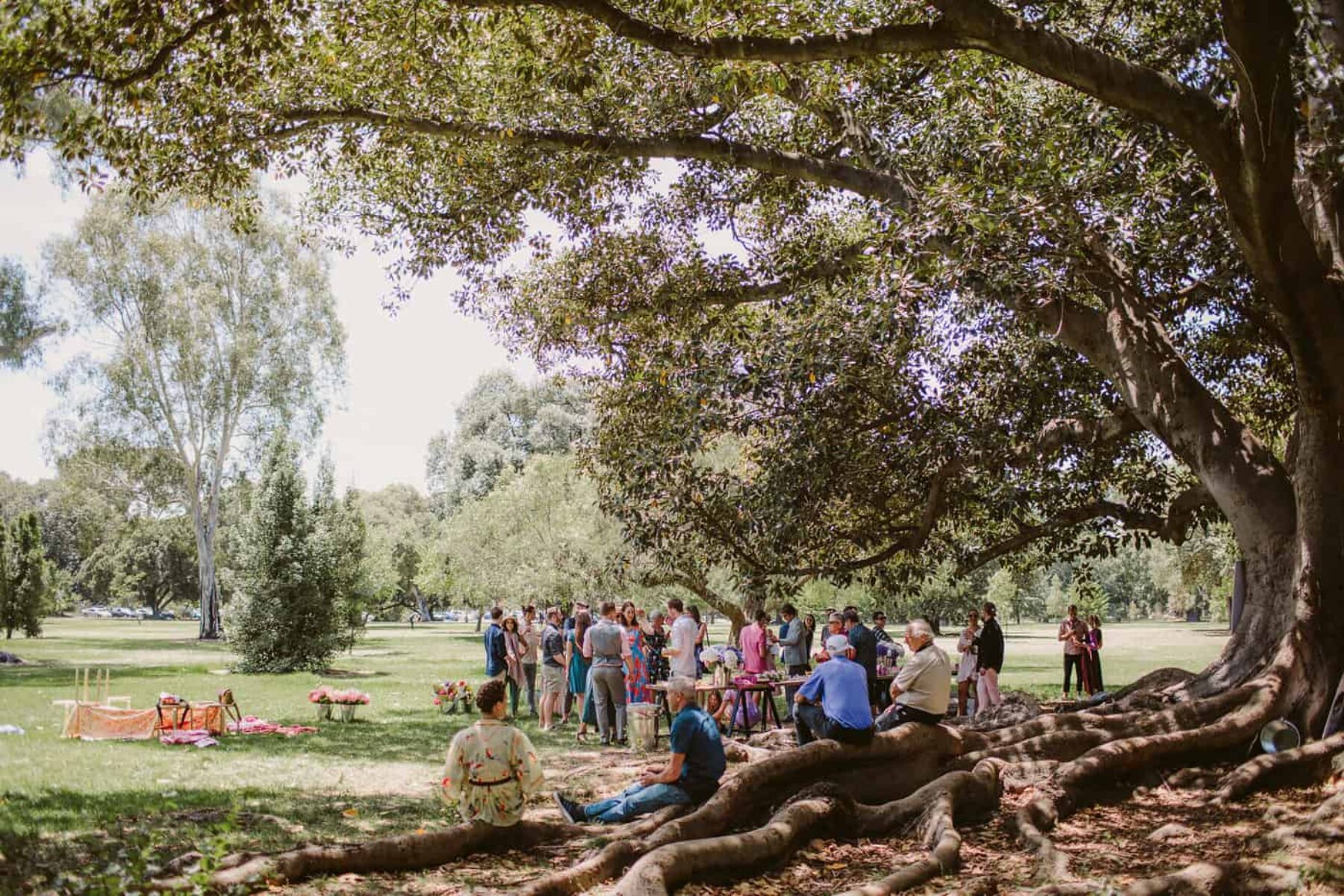 brunch picnic wedding at Adelaide's Botanic Park / photography by Kate Pardey