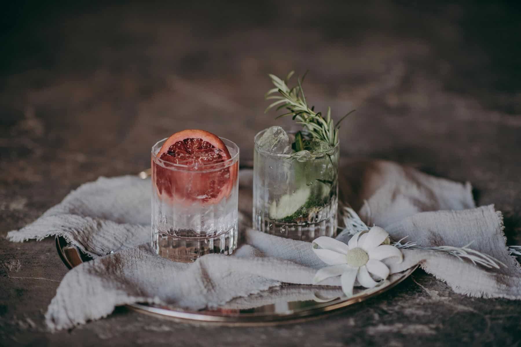 modern gin cocktails
