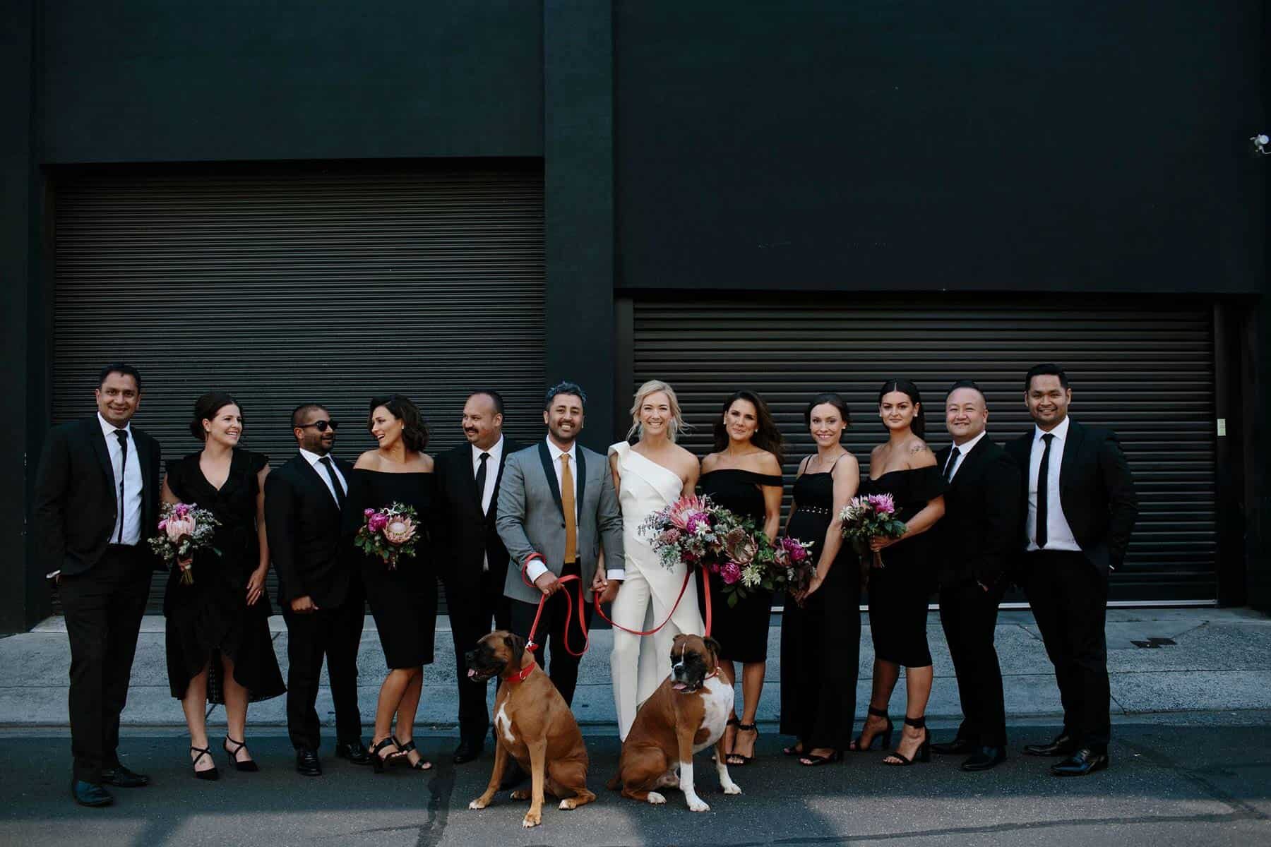 modern bridal party with dogs