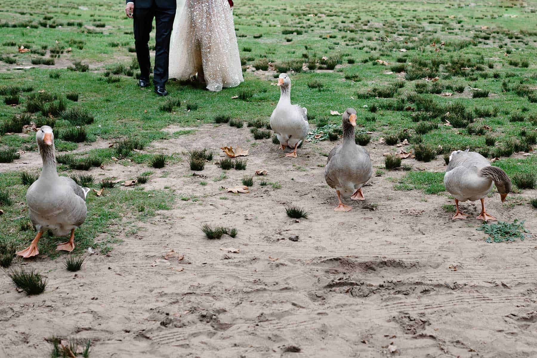 Nostalgic Autumn Wedding at Audley Dance Hall