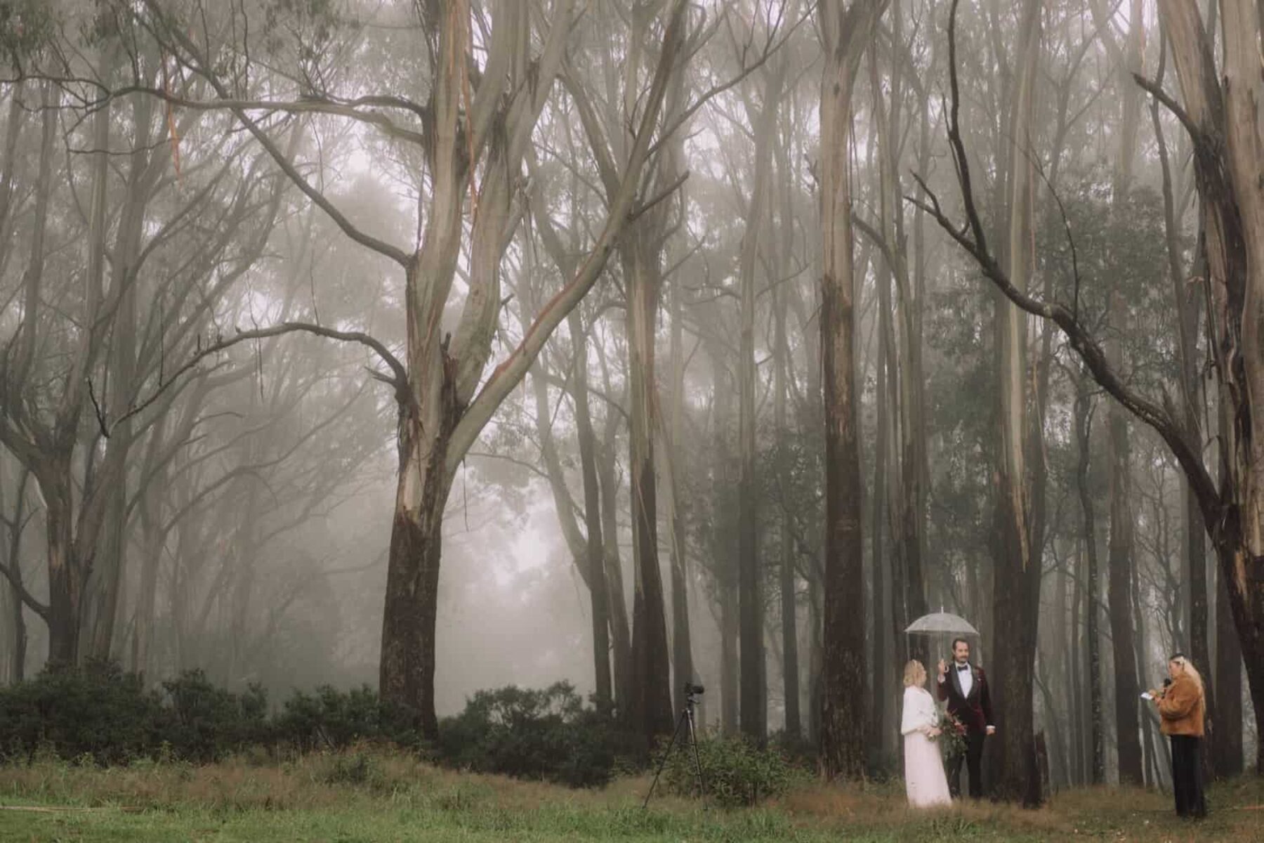 Mount-Donna-Buang-Elopement-Melbourne-Wedding-photographer.jpg